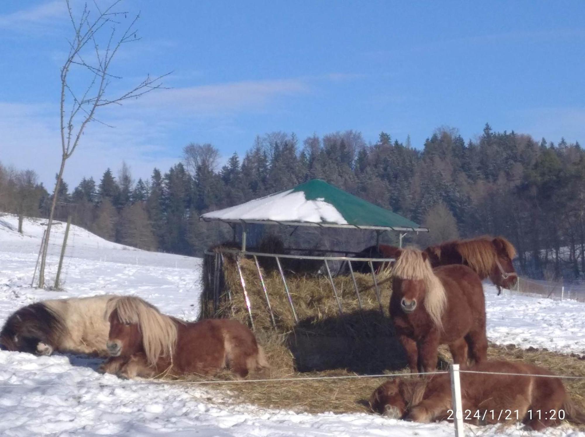 Hotel Statek Bily Dvur - Bely Machov Esterno foto