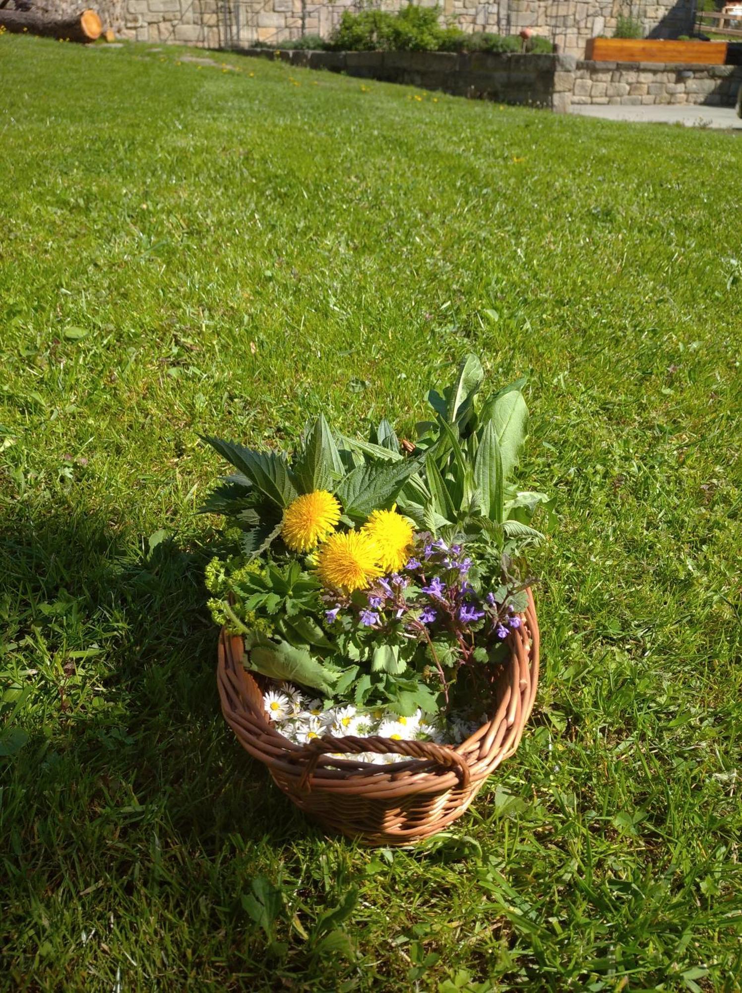 Hotel Statek Bily Dvur - Bely Machov Esterno foto